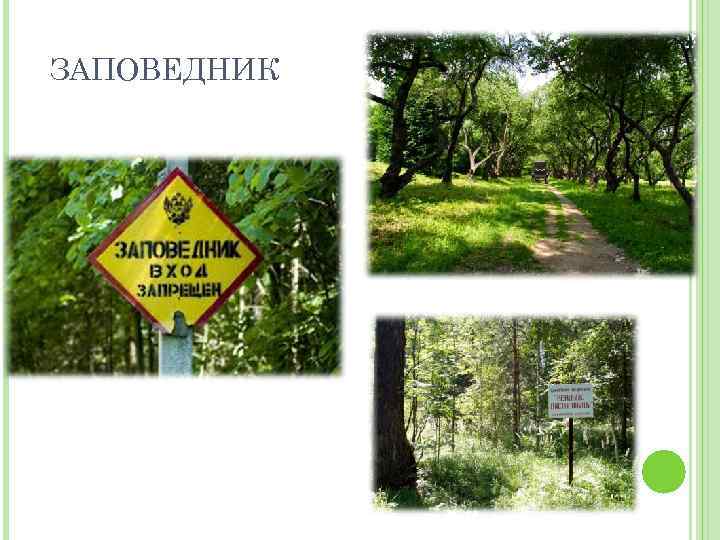 ЗАПОВЕДНИК 