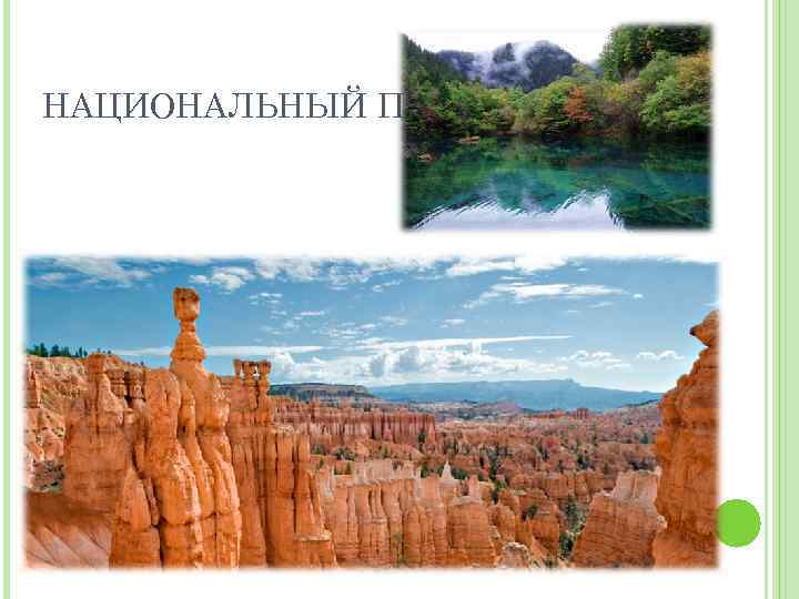 НАЦИОНАЛЬНЫЙ ПАРК 