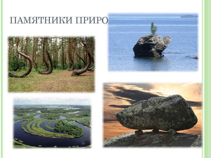 ПАМЯТНИКИ ПРИРОДЫ 
