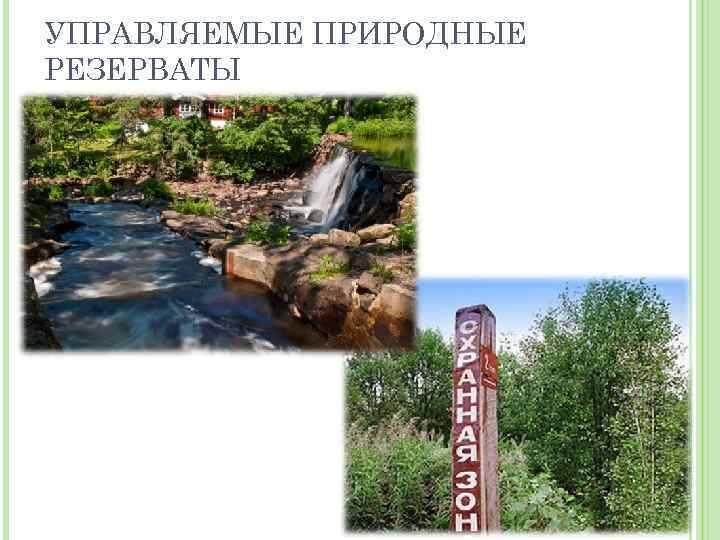 УПРАВЛЯЕМЫЕ ПРИРОДНЫЕ РЕЗЕРВАТЫ 