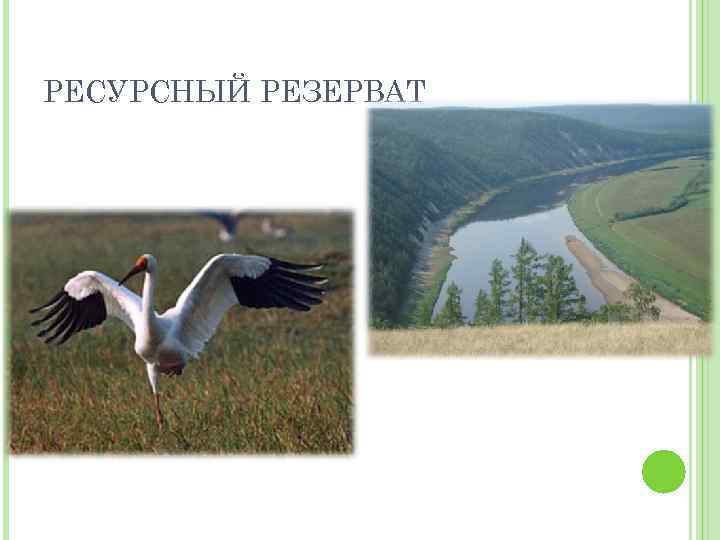 РЕСУРСНЫЙ РЕЗЕРВАТ 