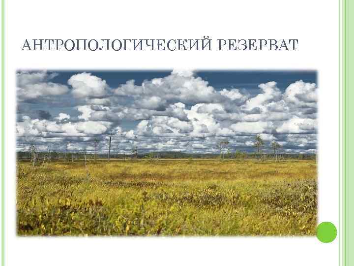 АНТРОПОЛОГИЧЕСКИЙ РЕЗЕРВАТ 