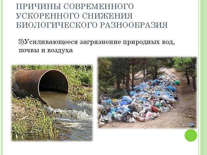ПРИЧИНЫ СОВРЕМЕННОГО УСКОРЕННОГО СНИЖЕНИЯ БИОЛОГИЧЕСКОГО РАЗНООБРАЗИЯ 3)Усиливающееся загрязнение природных вод, почвы и воздуха 