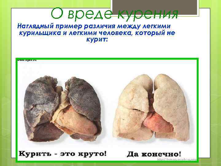 О вреде курения Наглядный пример различия между легкими курильщика и легкими человека, который не