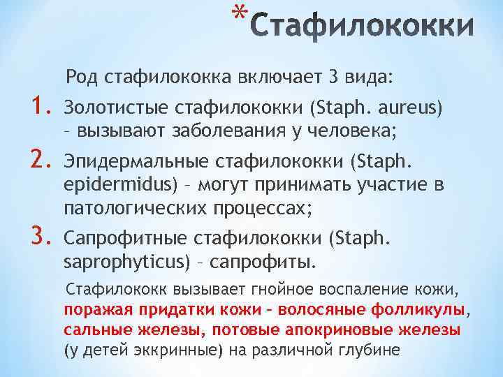 * Род стафилококка включает 3 вида: 1. Золотистые стафилококки (Staph. aureus) – вызывают заболевания