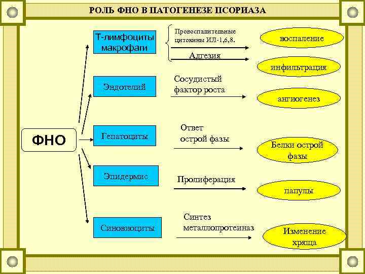 РОЛЬ ФНО В ПАТОГЕНЕЗЕ ПСОРИАЗА Т-лимфоциты макрофаги Провоспалительные цитокины ИЛ-1, 6, 8. воспаление Адгезия