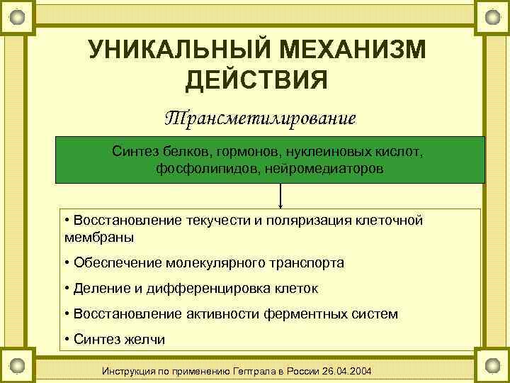 УНИКАЛЬНЫЙ МЕХАНИЗМ ДЕЙСТВИЯ Трансметилирование Синтез белков, гормонов, нуклеиновых кислот, фосфолипидов, нейромедиаторов • Восстановление текучести