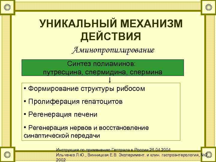 УНИКАЛЬНЫЙ МЕХАНИЗМ ДЕЙСТВИЯ Аминопропилирование Синтез полиаминов: путресцина, спермидина, спермина • Формирование структуры рибосом •