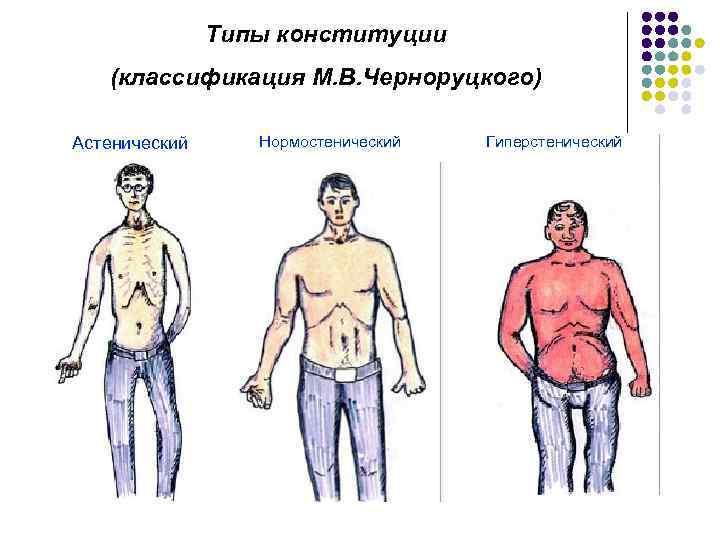 Типы конституции (классификация М. В. Черноруцкого) Астенический Нормостенический Гиперстенический 