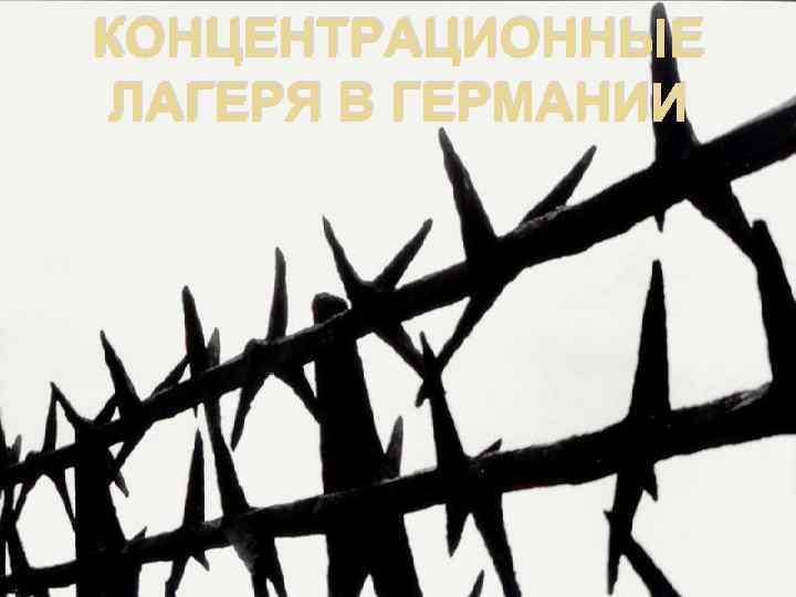 КОНЦЕНТРАЦИОННЫЕ ЛАГЕРЯ В ГЕРМАНИИ 