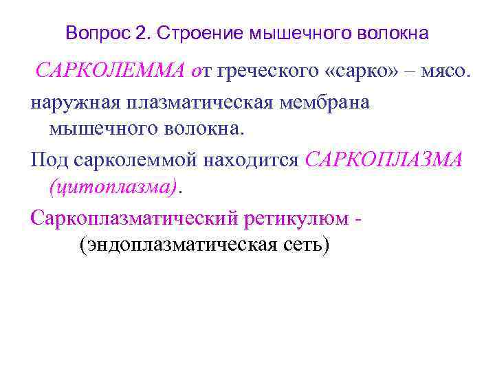Вопрос 2. Строение мышечного волокна САРКОЛЕММА от греческого «сарко» – мясо. наружная плазматическая мембрана
