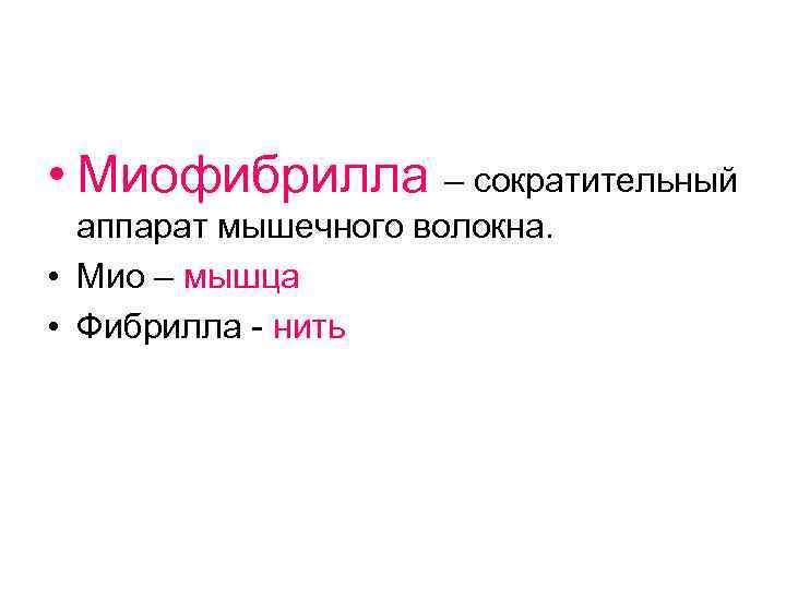  • Миофибрилла – сократительный аппарат мышечного волокна. • Мио – мышца • Фибрилла