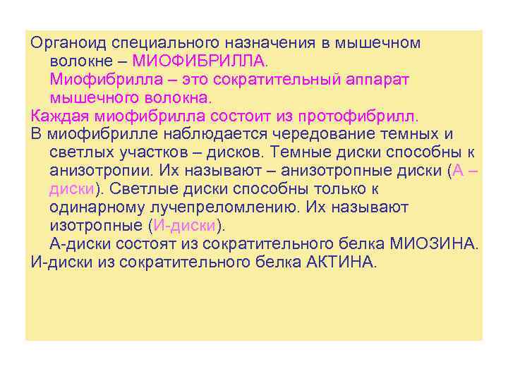Органоид специального назначения в мышечном волокне – МИОФИБРИЛЛА. Миофибрилла – это сократительный аппарат мышечного