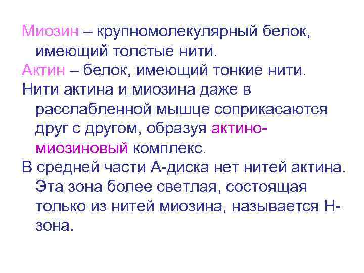 Миозин – крупномолекулярный белок, имеющий толстые нити. Актин – белок, имеющий тонкие нити. Нити