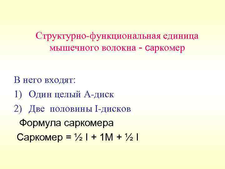 Структурно-функциональная единица мышечного волокна - саркомер В него входят: 1) Один целый А-диск 2)
