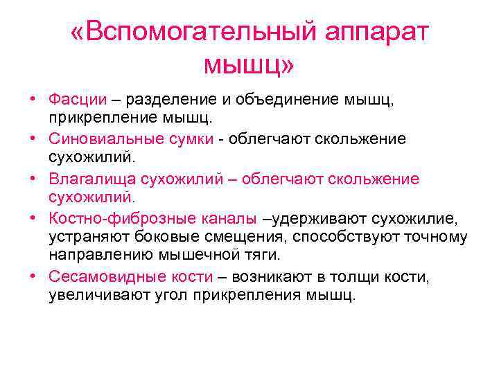  «Вспомогательный аппарат мышц» • Фасции – разделение и объединение мышц, прикрепление мышц. •