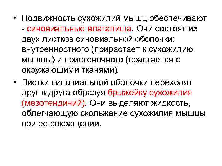  • Подвижность сухожилий мышц обеспечивают - синовиальные влагалища. Они состоят из двух листков