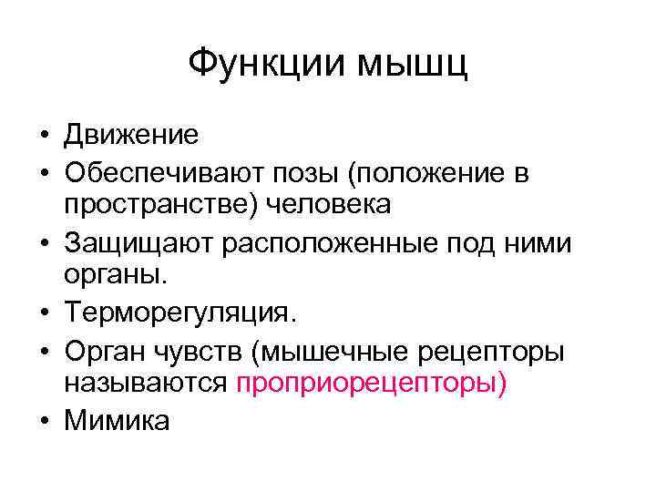 Функции мышц • Движение • Обеспечивают позы (положение в пространстве) человека • Защищают расположенные