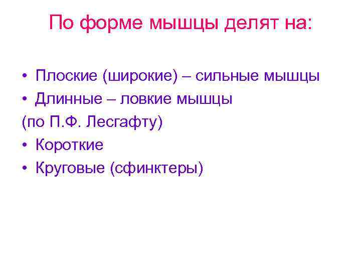 По форме мышцы делят на: • Плоские (широкие) – сильные мышцы • Длинные –