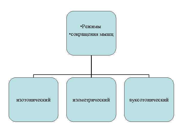  • Режимы • сокращения мышц изотонический изометрический ауксотонический 