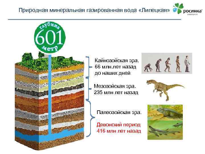 Природная минеральная газированная вода «Липецкая» Кайнозойская эра. 66 млн. лет назад до наших дней