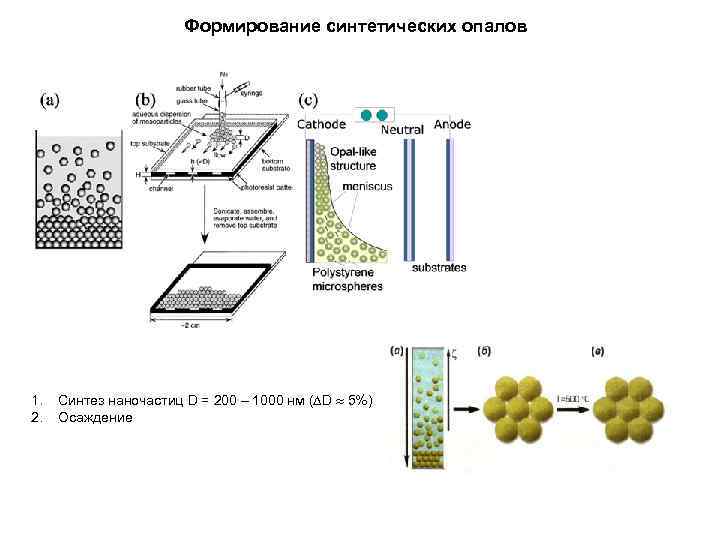 Формирование синтетических опалов 1. 2. Синтез наночастиц D = 200 – 1000 нм (