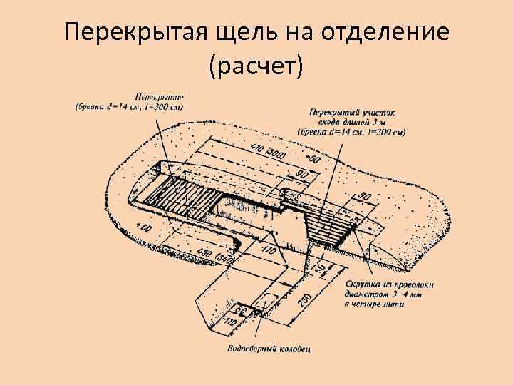 Размер отделения