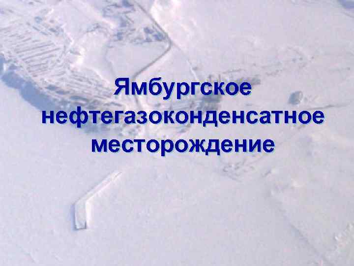 Ямбургское нефтегазоконденсатное месторождение 