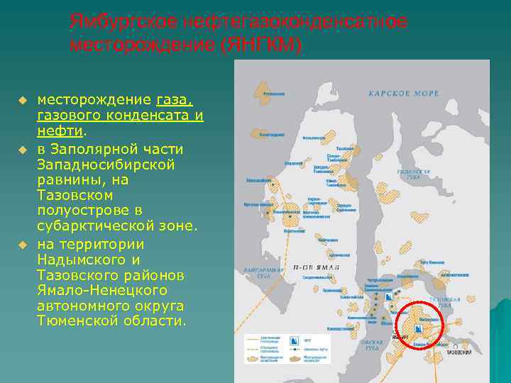 Ямбургское нефтегазоконденсатное месторождение (ЯНГКМ) u u u месторождение газа, газового конденсата и нефти. в