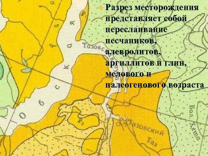 Геологическая карта ямбургского месторождения