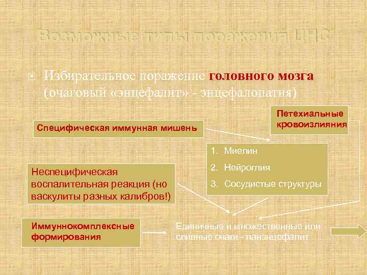 Возможные типы поражения ЦНС Избирательное поражение головного мозга (очаговый «энцефалит» - энцефалопатия) Петехиальные кровоизлияния