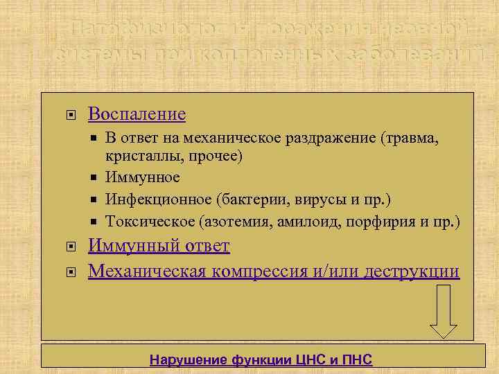 Патофизиология поражения нервной системы при коллогенных заболеваний Воспаление В ответ на механическое раздражение (травма,