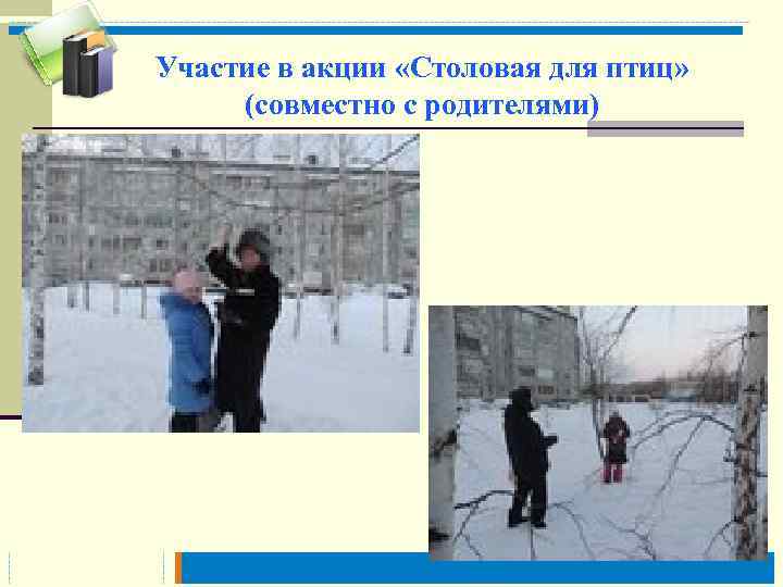 Участие в акции «Столовая для птиц» (совместно с родителями) 