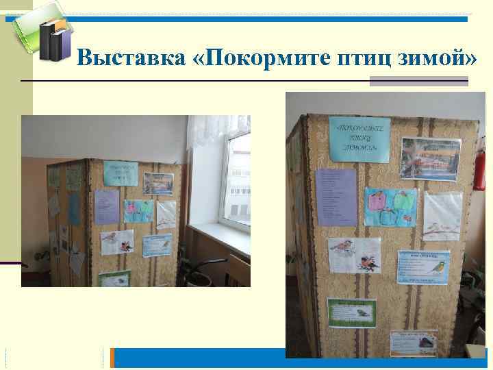 Выставка «Покормите птиц зимой» 