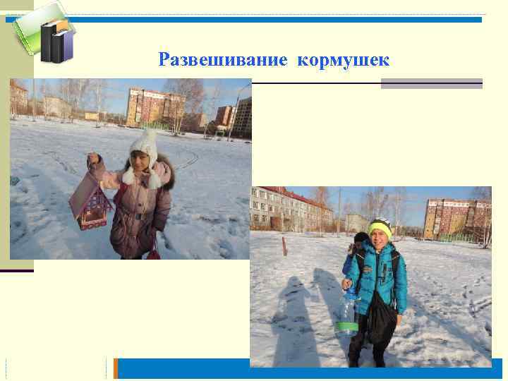 Развешивание кормушек 