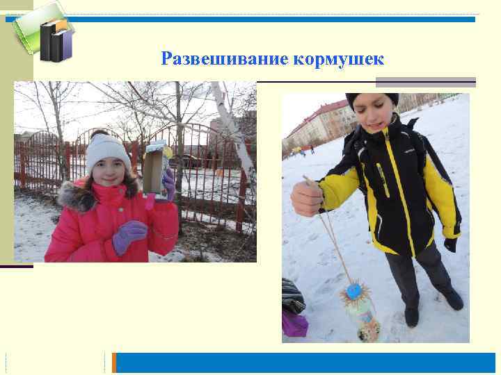 Развешивание кормушек 