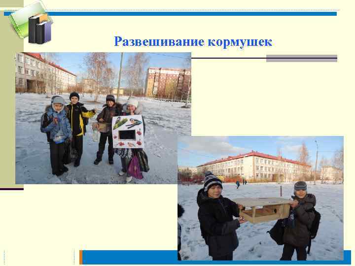 Развешивание кормушек 