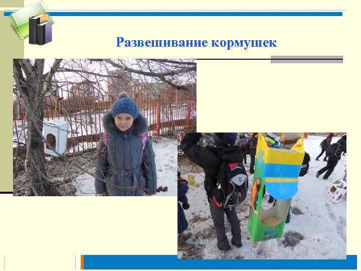 Развешивание кормушек 