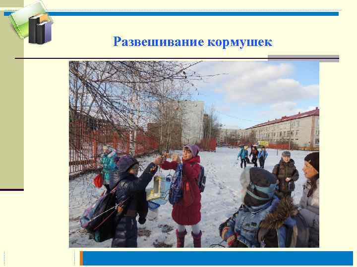 Развешивание кормушек 