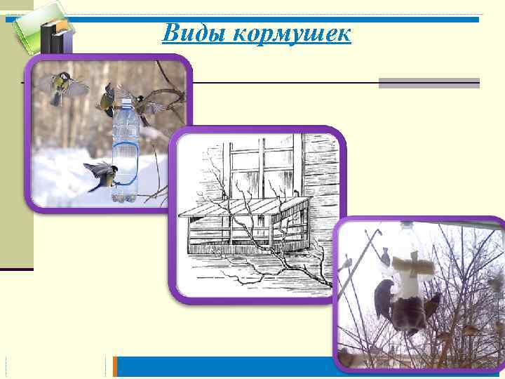  Виды кормушек 