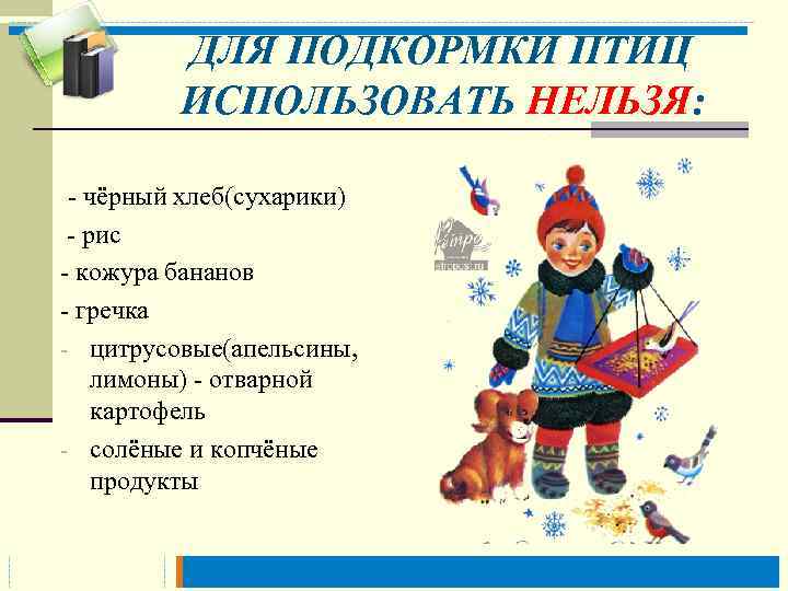  ДЛЯ ПОДКОРМКИ ПТИЦ ИСПОЛЬЗОВАТЬ НЕЛЬЗЯ: - чёрный хлеб(сухарики) - рис - кожура бананов