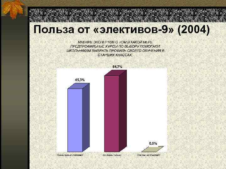 Польза от «элективов-9» (2004) 