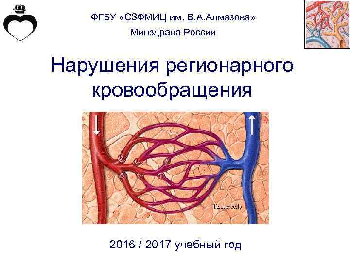 ФГБУ «СЗФМИЦ им. В. А. Алмазова» Минздрава России Нарушения регионарного кровообращения 2016 / 2017