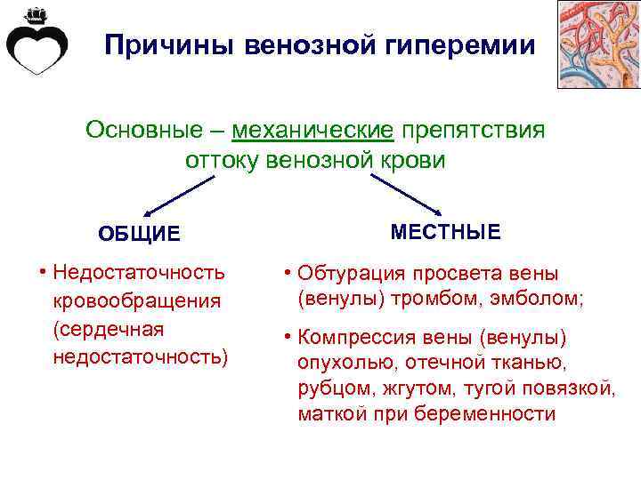 Причины венозной гиперемии Основные – механические препятствия оттоку венозной крови ОБЩИЕ • Недостаточность кровообращения