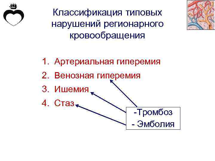 Классификация типовых нарушений регионарного кровообращения 1. Артериальная гиперемия 2. Венозная гиперемия 3. Ишемия 4.