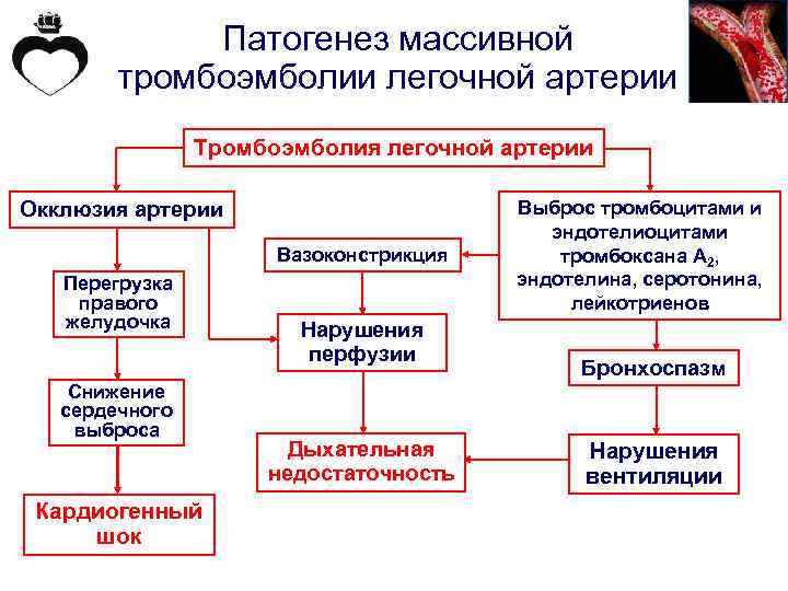 Патогенез массивной тромбоэмболии легочной артерии Тромбоэмболия легочной артерии Окклюзия артерии Вазоконстрикция Перегрузка правого желудочка