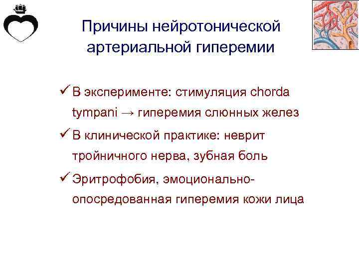 Причины нейротонической артериальной гиперемии ü В эксперименте: стимуляция chorda tympani → гиперемия слюнных желез