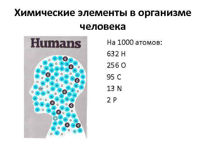 Химические элементы в организме человека На 1000 атомов: 632 H 256 O 95 C