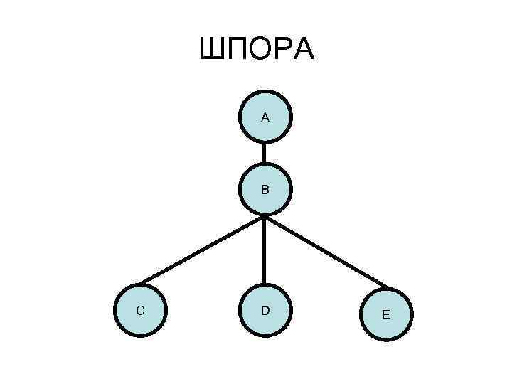 ШПОРА А В С D E 