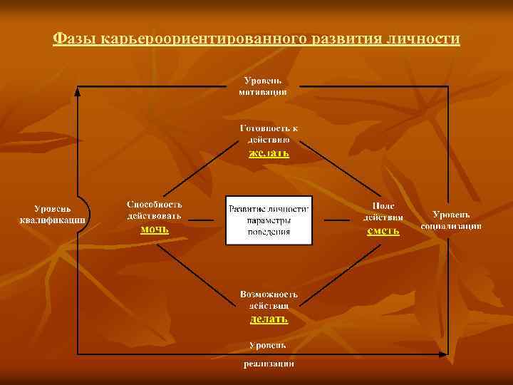 Фазы карьероориентированного развития личности 